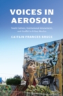 Voices in Aerosol : Youth Culture, Institutional Attunement, and Graffiti in Urban Mexico - Book