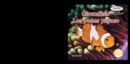 Clownfish / Los peces payaso - eBook