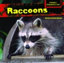 Raccoons - eBook