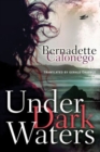Under Dark Waters - Book