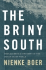 The Briny South : Displacement and Sentiment in the Indian Ocean World - Book