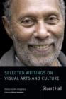 Selected Writings on Visual Arts and Culture : Detour to the Imaginary - eBook