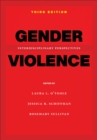 Gender Violence, 3rd Edition : Interdisciplinary Perspectives - eBook
