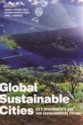 Global Sustainable Cities : City Governments and Our Environmental Future - eBook
