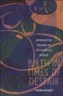 Birth in Times of Despair : Reproductive Violence on the US-Mexico Border - Book