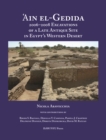 'Ain el-Gedida : 2006-2008 Excavations of a Late Antique Site in Egypt's Western Desert (Amheida IV) - eBook