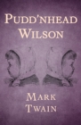 Pudd'nhead Wilson - eBook