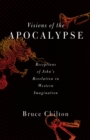 Visions of the Apocalypse : Receptions of John's Revelation in Western Imagination - eBook