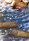 Trouble the Water - eBook