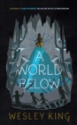 A World Below - Book