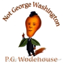 Not George Washington - eAudiobook