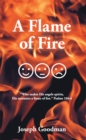 A Flame of Fire - eBook