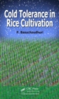 Cold Tolerance in Rice Cultivation - Book