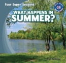 What Happens in Summer? - eBook