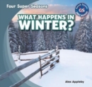 What Happens in Winter? - eBook