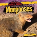 Mongooses - eBook