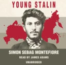 Young Stalin - eAudiobook