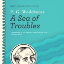 A Sea of Troubles - eAudiobook