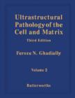 Ultrastructural Pathology of the Cell and Matrix : A Text and Atlas of Physiological and Pathological Alterations in the Fine Structure of Cellular and Extracellular Components - eBook
