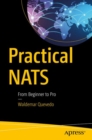 Practical NATS : From Beginner to Pro - Book