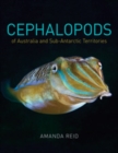 Cephalopods of Australia and Sub-Antarctic Territories - eBook