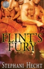 Flint's Fury - eBook