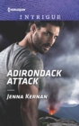 Adirondack Attack - eBook