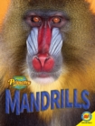 Mandrills - eBook