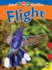Flight - eBook
