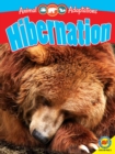 Hibernation - eBook