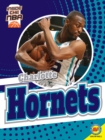 Charlotte Hornets - eBook