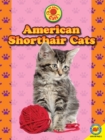 American Shorthair Cats - eBook