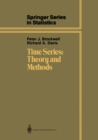 Time Series: Theory and Methods - eBook