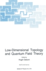 Low-Dimensional Topology and Quantum Field Theory - eBook