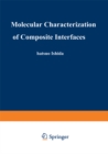 Molecular Characterization of Composite Interfaces - eBook