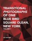 Transitional Photographs of One Blue Bird Square Olean, New York : Volume 1 - eBook