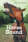 Horse Bound : The View from the Top of Mount Manure - eBook