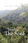 Teasing the Soul - eBook
