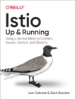 Istio: Up and Running : Using a Service Mesh to Connect, Secure, Control, and Observe - eBook