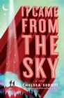 It Came from the Sky - eBook
