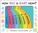 How Big Is Baby Now? - Book