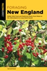 Foraging New England : Edible Wild Food and Medicinal Plants from Maine to the Adirondacks to Long Island Sound - Book