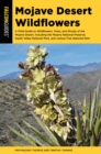 Mojave Desert Wildflowers : A Field Guide to Wildflowers, Trees, and Shrubs of the Mojave Desert, Including the Mojave National Preserve, Death Valley National Park, and Joshua Tree National Park - eBook