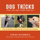 Dog Tricks Even You Can Teach Your Pet : A Step-by-Step Guide to Teaching Your Pet to Sit, Catch, Fetch, and Impress - Book