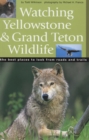 Watching Yellowstone and Grand Teton Wildlife : The Best Places to Look from Roads and Trails - eBook