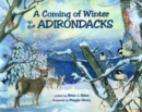 Coming Of Winter In The Adirondacks - eBook