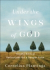 Under the Wings of God : Twenty Biblical Reflections for a Deeper Faith - eBook