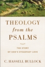 Theology from the Psalms : The Story of God's Steadfast Love - eBook