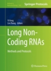 Long Non-Coding RNAs : Methods and Protocols - eBook