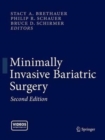 Minimally Invasive Bariatric Surgery - Book
